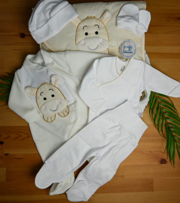 Conjunto 1ª roupinha Burrinho