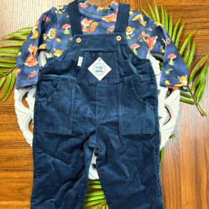 Jardineiras Raposas e Guaxinins de Menino